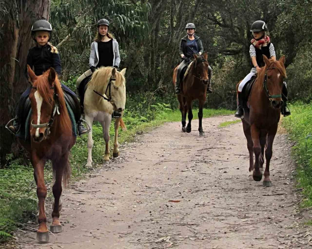 Quinta Pedagogica Da Samoqueirinha - Duna Parque Resorts & Hotels Vila Nova de Milfontes Εξωτερικό φωτογραφία